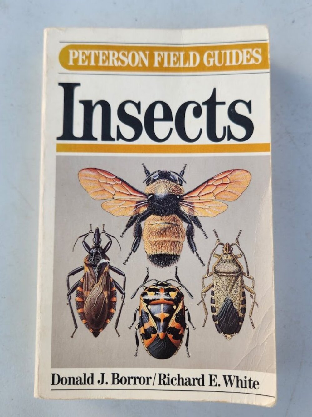 Peterson Field Guide Insects of America North of Mexico Vintage Book Entomology